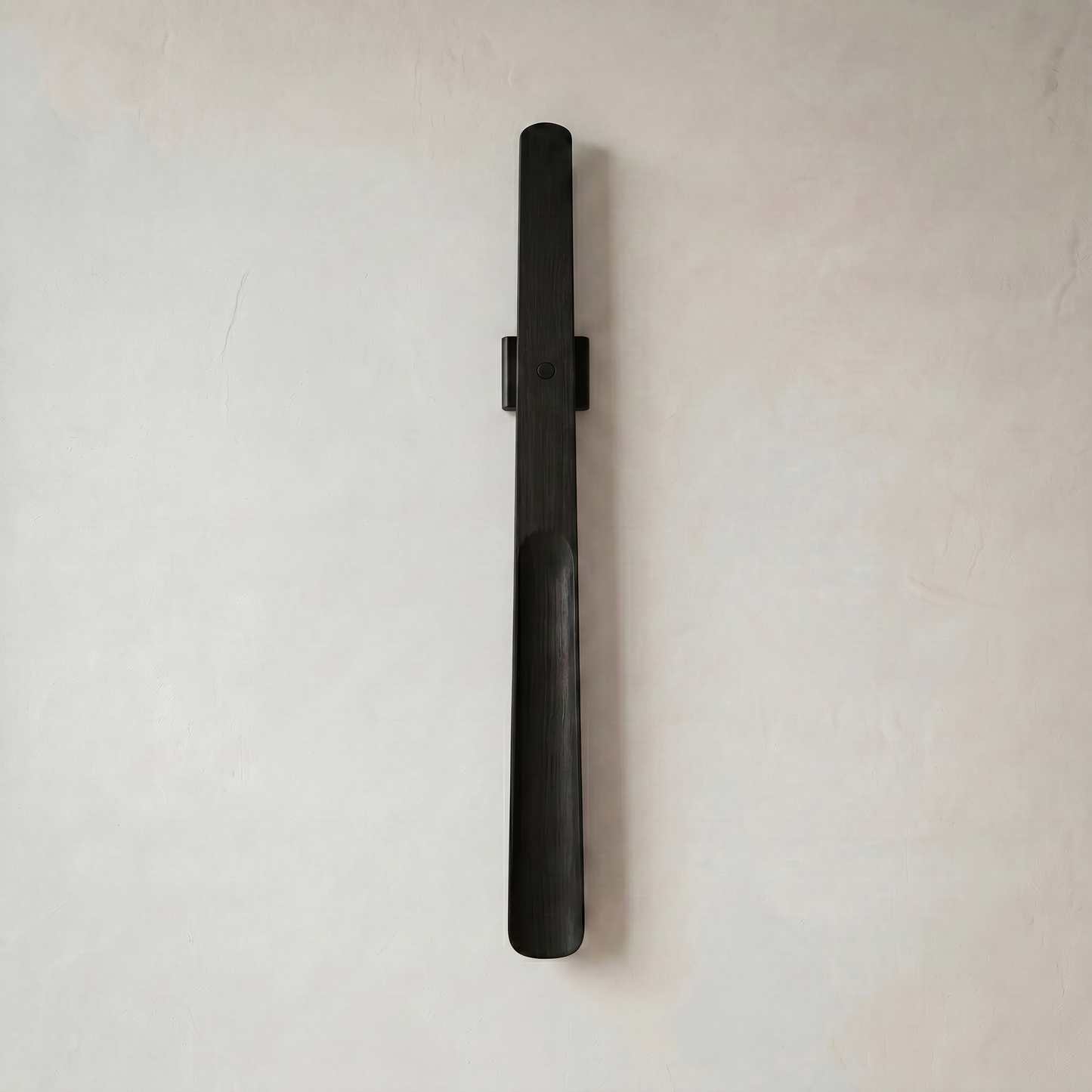 Magnetic Shoehorn