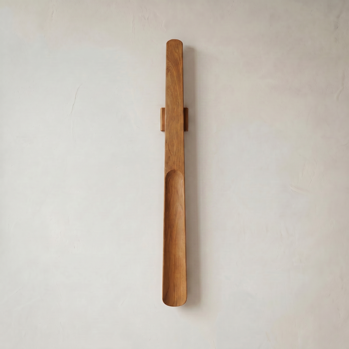 Magnetic Shoehorn