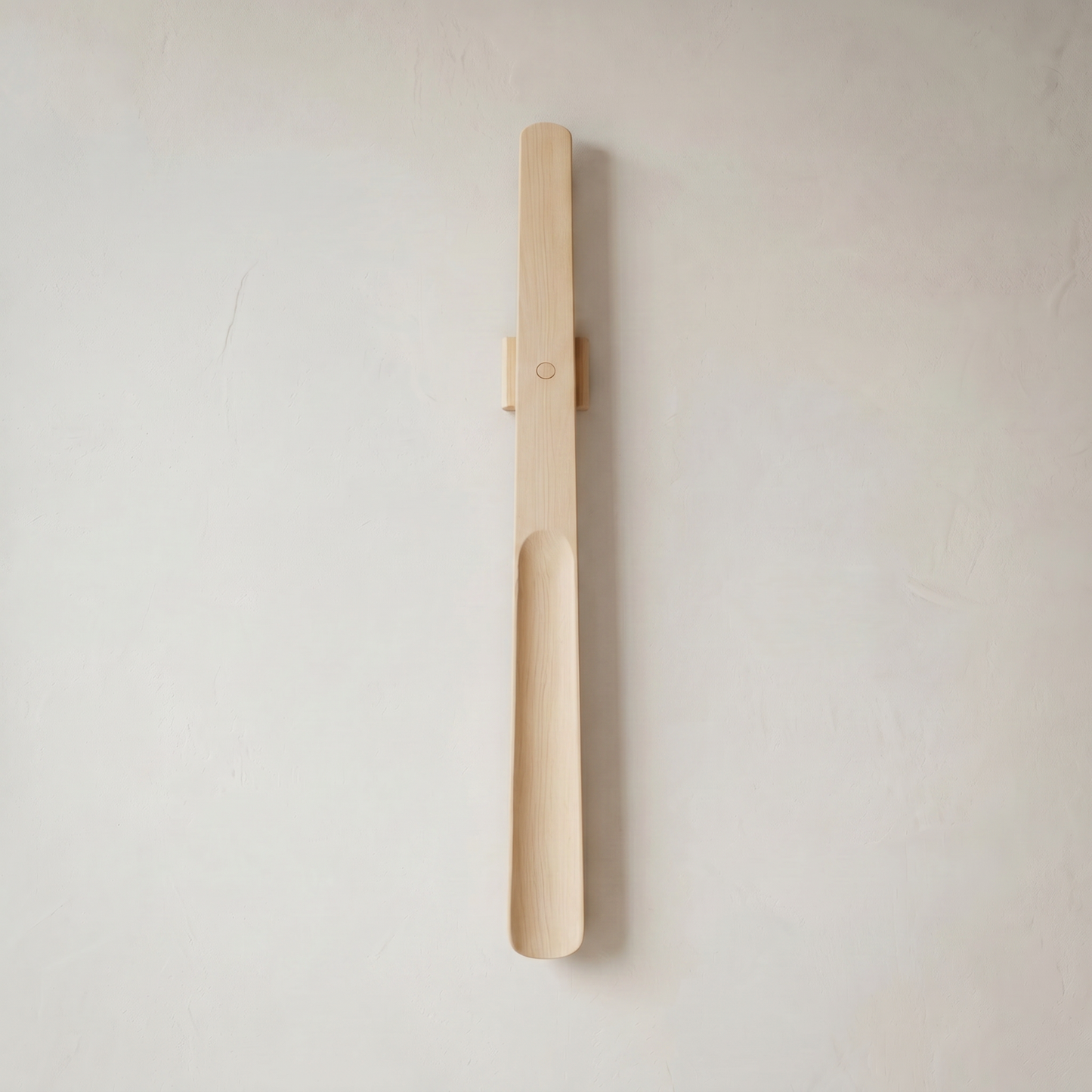 Magnetic Shoehorn