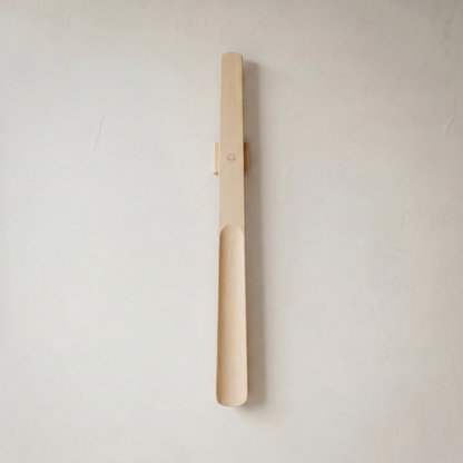 Magnetic Shoehorn