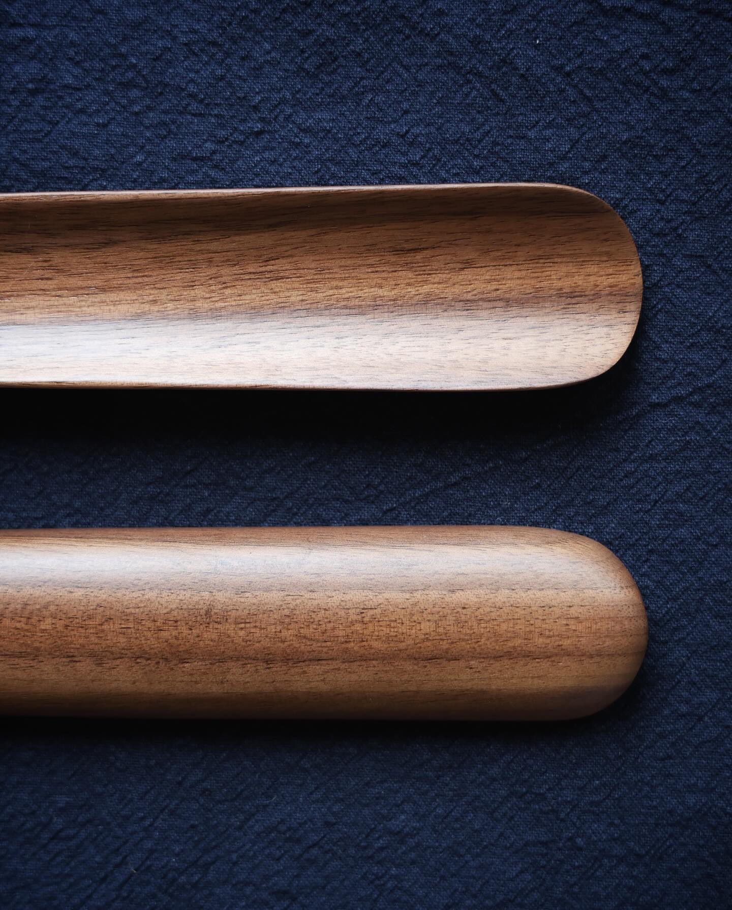 Magnetic Shoehorn