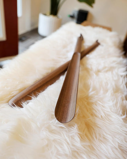 Magnetic Shoehorn