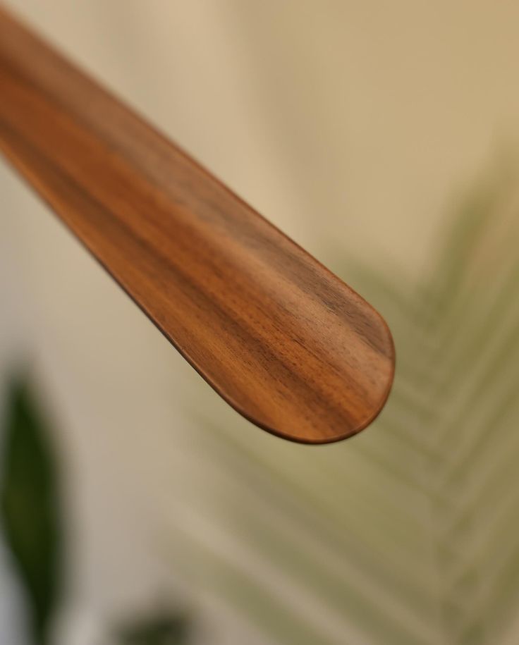 Magnetic Shoehorn