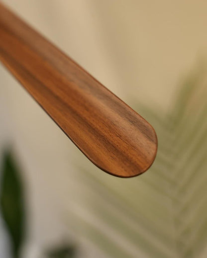 Magnetic Shoehorn